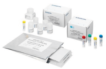 Image: miRCURY Locked Nucleic Acid (LNA) Universal RT microRNA polymerase chain reaction (PCR) kit (Photo courtesy of Exiqon).